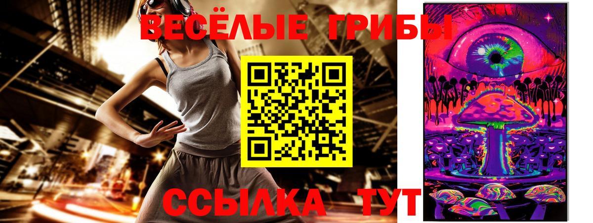 Северск  Псилоцибиновые грибы Cubensis  Вход с VPN 
